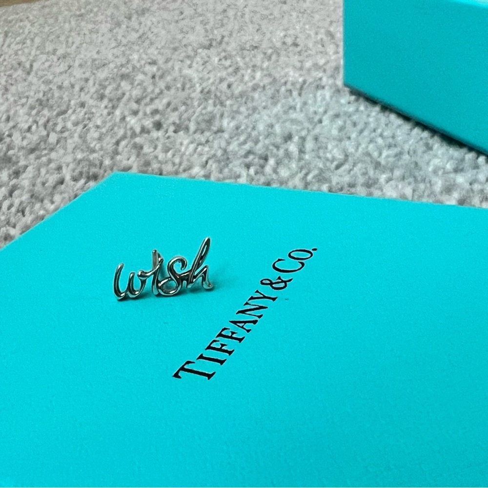 Tiffany & Co. Paloma’s Graffiti Wish Single Earring in Sterling Silver